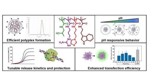 2025 International Journal of Pharmaceutics