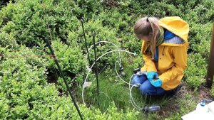 Bodenwasserprobenahme im Fichtelgebirge
