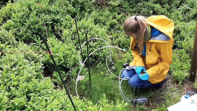 Bodenwasserprobenahme im Fichtelgebirge