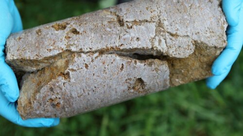 Kluft in Kalkstein der Trochitenkalk-Fm. (Oberer Muschelkalk)