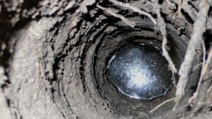 So sollte Grundwasser nicht aussehen: aufschwimmende Ölphase!