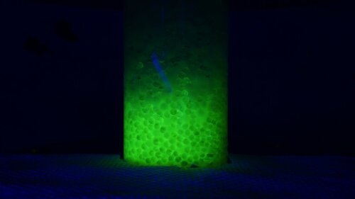 fluoreszierender Durchbruch im Säulenversuch