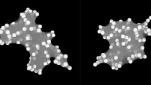 Ritschel & Totsche 2019 - Modeling the formation of soil microaggregates