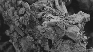 Aggregat aus Bodenmineralen und organischer Substanz