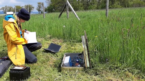 Lysimeterwartung im Sommer