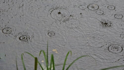 Ein Tümpel "wird nass"