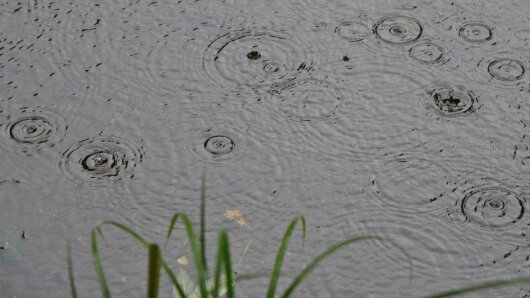 Ein Tümpel "wird nass"