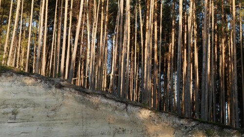Aerationszone im ostthüringer Buntsandsteingebiet