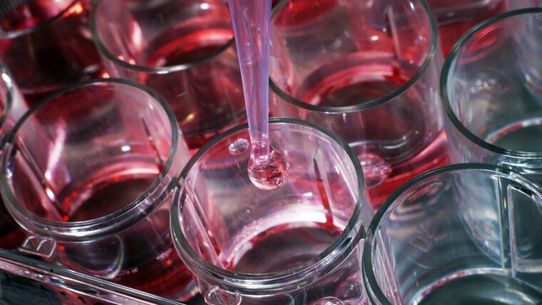 Test tubes with pink liquid