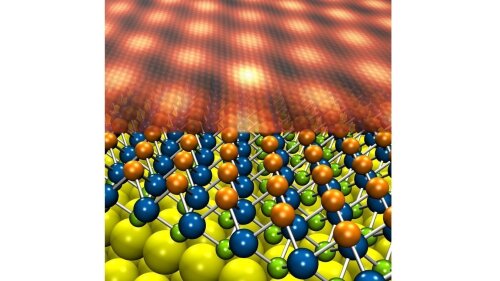 Highlight Picture of Picker et al