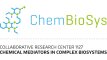 Logo ChemBioSys