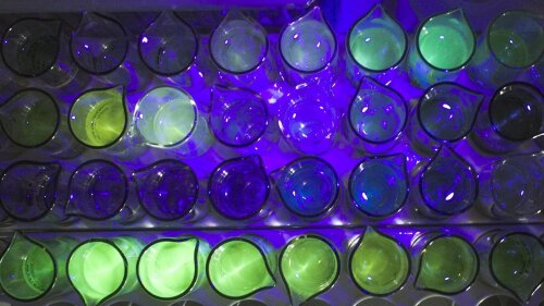 Fraktionen fluoreszenz