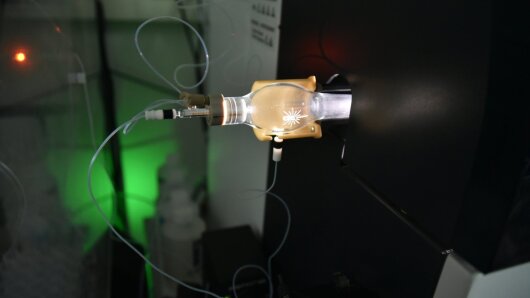 ICP-MS single cell application