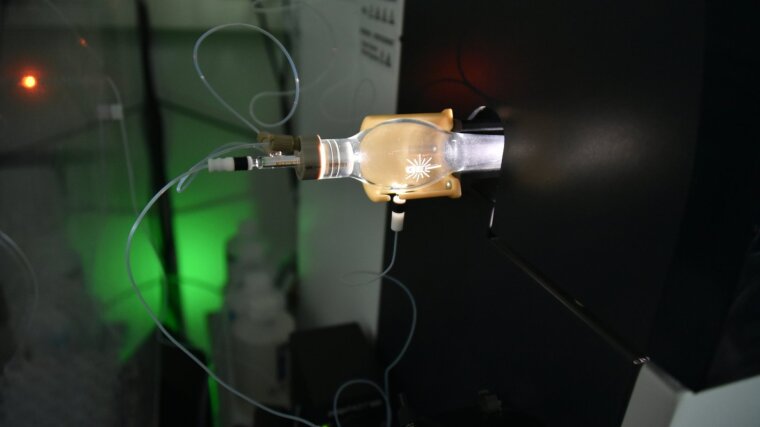 ICP-MS single cell application