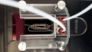 Nanoparticle Tracking Analysis (NTA)