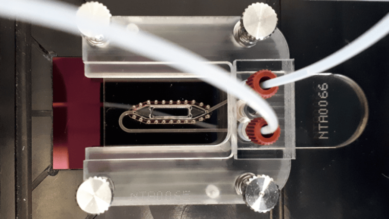Nanoparticle Tracking Analysis (NTA)
