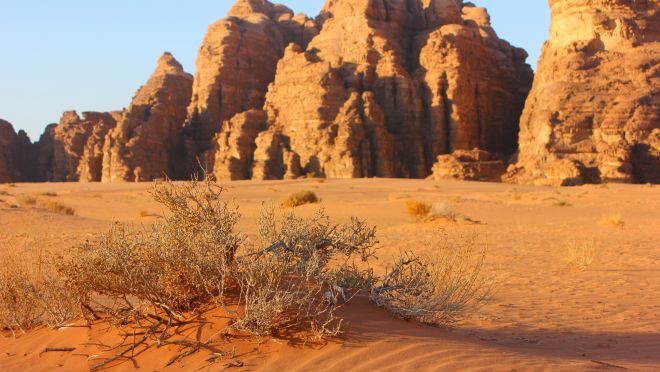 Sand desert