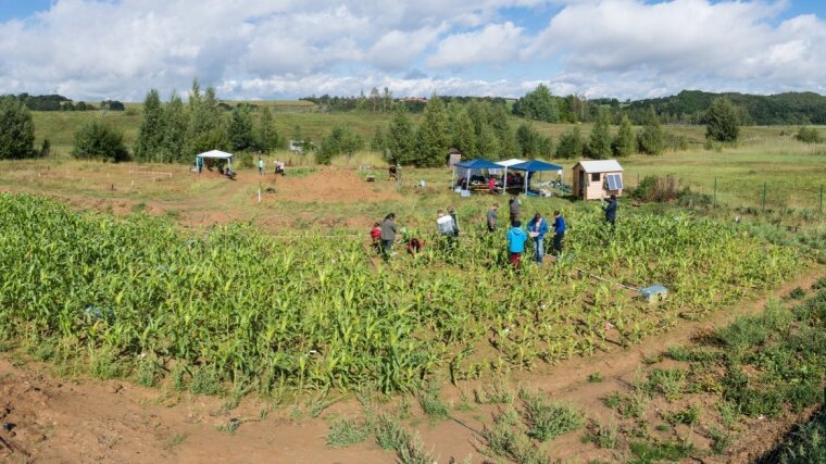 Test field