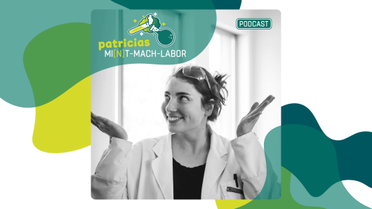 Titelbild zu "Patricias MI(N)T-Mach-Labor"
