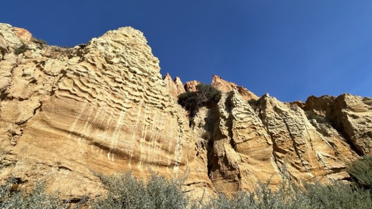 Cenozoic sand and silt stone at Red Bluff cliff, Sandringham, Australia.