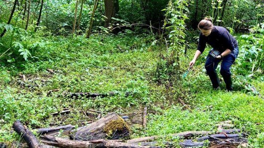 Person nimmt eine ph und Leitfähigkeitsmessung im Waldboden durch