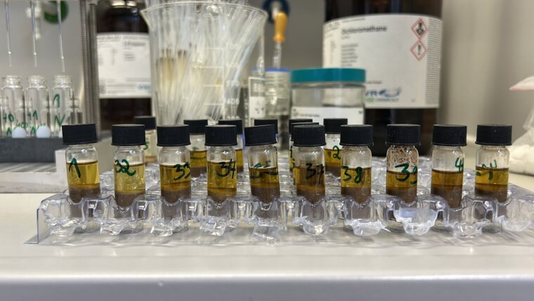 Lipidbiomarker werden mit organischen Lösemitteln aus dem Sediment extrahiert.