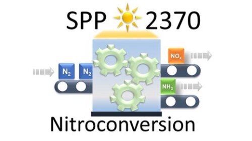 NI-CONSTRUCT project logo