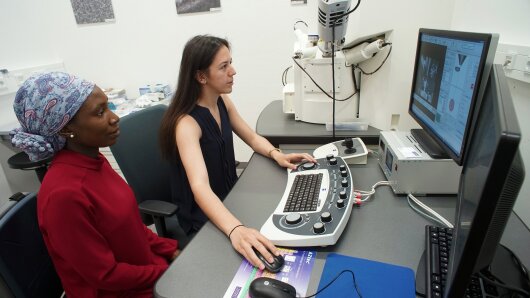 Two female scientists work at the computer in a chemical laboratory.
