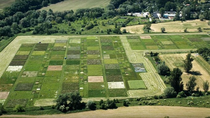 Platzhalter-Bild
