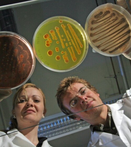Zwei Wissenschaftler im Laborkittel halten Petrischalen in der Hand.
