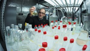 Prof. Dr. Georg Pohnert im Labor