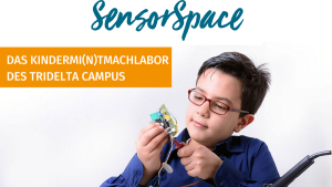 MINT-Cluster Sensor_Space