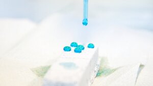 Hydrophobierung