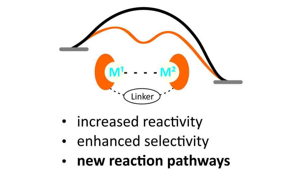 Cooperative catalysis offers advances with respect to reactivity and selectivity, and opens new reaction pathways