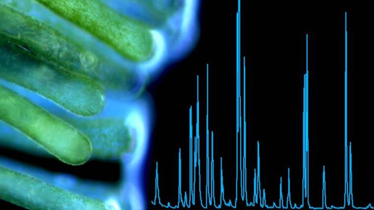 Bioorganic analytics