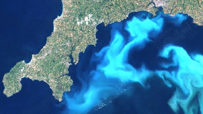 Algae in the plankton can be visualized in satellite pictures like this bloom of the unicellular Emiliania huxleyi in the British Channel…