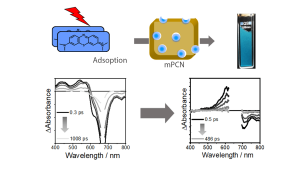 Photophysics of Confined Dye Molecules in a Porous Matrix