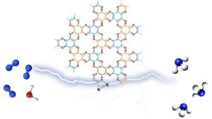 Artificial Nitrogen fixation using C2N-Type Carbon Materials