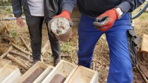 Bohrkern - Geologische Tiefenbohrung am Hainfelsen im Rahmen des Forschungsprojektes "Bromacker"